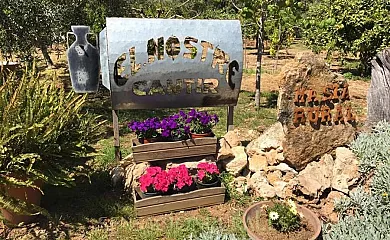 El Nostre Càntir en L´Ametlla de Mar (Tarragona) - Foto 5