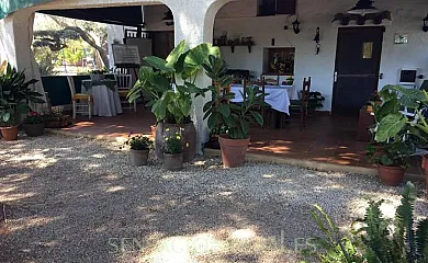 El Nostre Càntir en L´Ametlla de Mar (Tarragona) - Foto 8