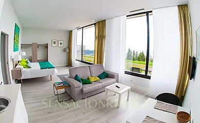 Sagarmaneta en Aia (Guipuzcoa) - Foto 18