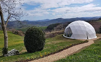 Sagarmaneta en Aia (Guipuzcoa) - Foto 23