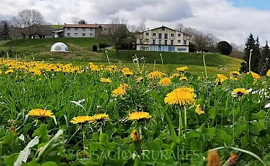 Sagarmaneta en Aia (Guipuzcoa) - Foto 24