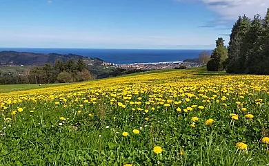 Sagarmaneta en Aia (Guipuzcoa) - Foto 14