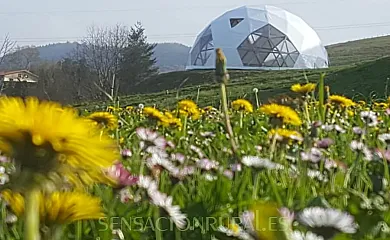 Sagarmaneta en Aia (Guipuzcoa) - Foto 15