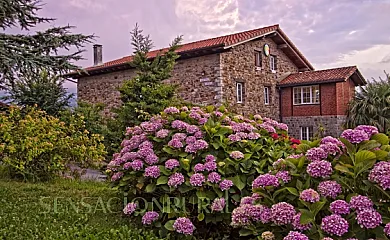 Txerturi-goikoa en Deba (Guipuzcoa) - Foto 1