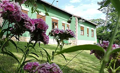 La Escuela de Premio en Regueras (Asturias) - Foto 4