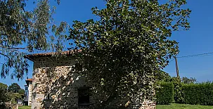 Casa de Isidoro - Casinas de Linares 0013