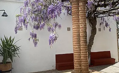 Finca Bramadero en Hornachuelos (Córdoba) - Foto 8
