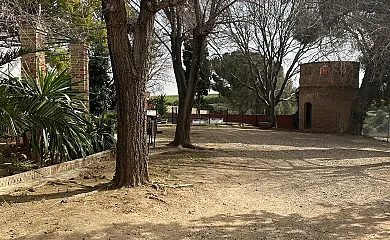 Finca Bramadero en Hornachuelos (Córdoba) - Foto 13