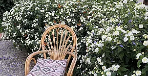 Finca Bramadero 0016