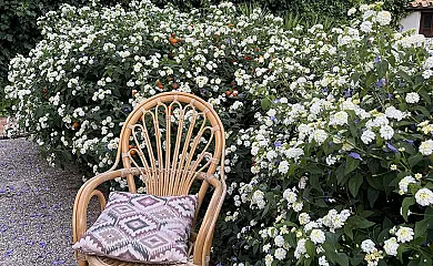 Finca Bramadero en Hornachuelos (Córdoba) - Foto 16