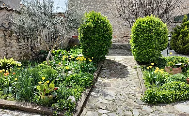 Casa del Olivo en Trijueque (Guadalajara) - Foto 4