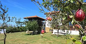 La Pomarada del Mar 004