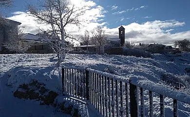 Los Trigales en Almadrones (Guadalajara) - Foto 2