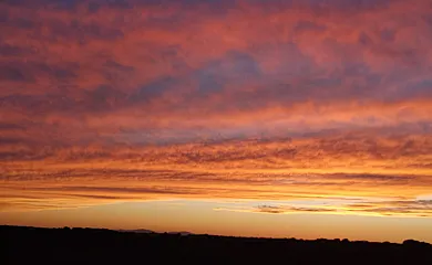 Los Trigales en Almadrones (Guadalajara) - Foto 20