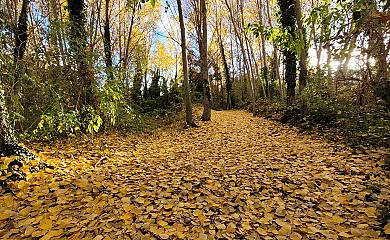 Casa Lluert en Avía (Barcelona) - Foto 22