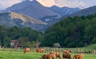 Casa La Huerta en Mestas de Con (Asturias) - Foto 5