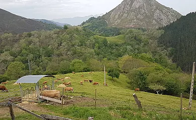 Hotel Granja Paraíso en Cangas de Onis (Asturias) - Foto 3