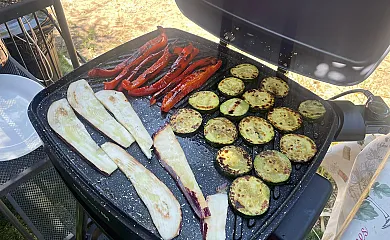 El Unicornio en Sotillo de la Adrada (Ávila) - Foto 24