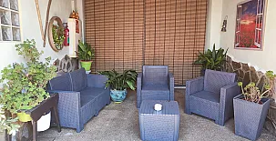 La Palmera de la Ínsula 002