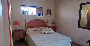 La Palmera de la Ínsula 004