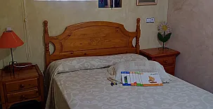 La Palmera de la Ínsula 005