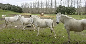 Casa Rural La Torrecilla 0022