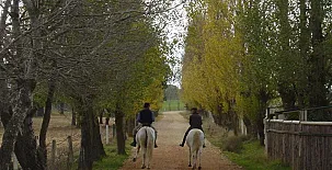 Casa Rural La Torrecilla 0024
