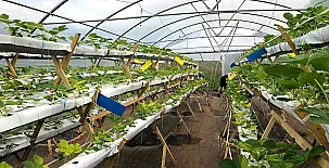 Alojamientos Rurales Casa Luisa 005