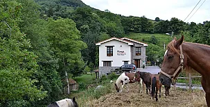 Hotel Rural Alesga 003