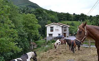 Hotel Rural Alesga en San Salvador (Quirós) (Asturias) - Foto 3