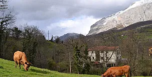 Hotel Rural Alesga 002