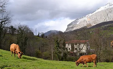 Hotel Rural Alesga en San Salvador (Quirós) (Asturias) - Foto 2