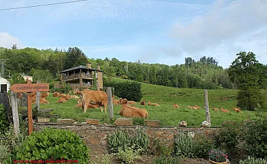 Casa Viduedo en Santa Eulalia de Oscos (Asturias) - Foto 4