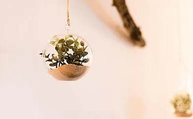 Cal Xamora en Biosca (Lleida) - Foto 23