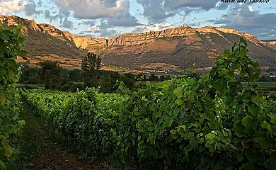 Areeta Etxea en Espejo (Álava) - Foto 15