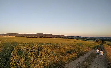 Areeta Etxea en Espejo (Álava) - Foto 22