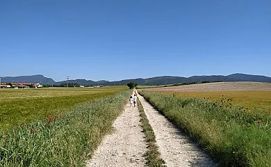 Areeta Etxea en Espejo (Álava) - Foto 24