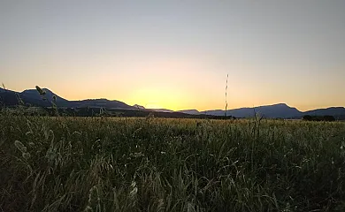 Areeta Etxea en Espejo (Álava) - Foto 25