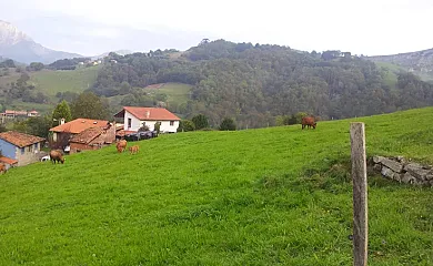 Las Tablas en Debodes (Asturias) - Foto 3