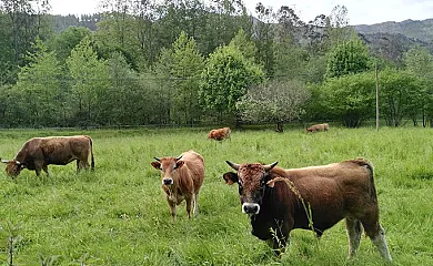 La Venta de los Probes en Puente Nuevo (Asturias) - Foto 1