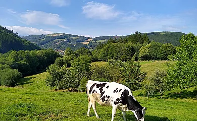 Casa Freixe en Santa Eulalia de Oscos (Asturias) - Foto 1