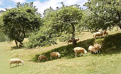 Supereda en San Juan de Parres (Asturias) - Foto 1