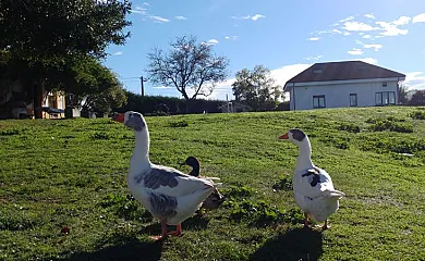 La Casona de Mariñas y La Casa de Oviedo en Las Regueras (Asturias) - Foto 5