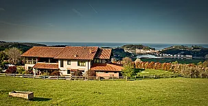 Hotel Paraje del Asturcón *** 003