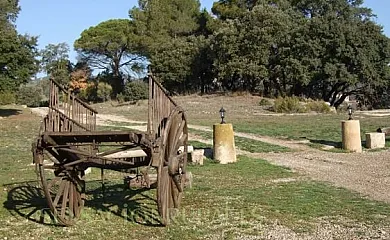 Can Gras en Sant Mateu de Bages (Barcelona) - Foto 6