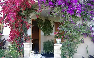 Casa Rural Gure Ametsa en Getaria (Guipuzcoa) - Foto 8