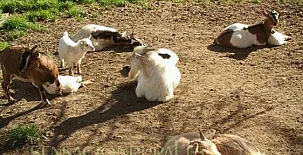 Santa Klara Alojamiento rural 006