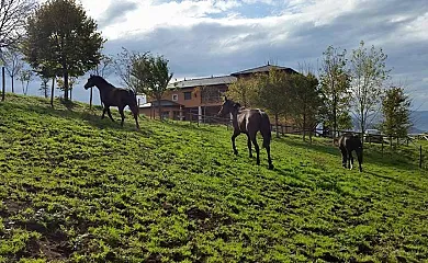 Hotel Rural Yeguada Albeitar en Villayón (Asturias) - Foto 1