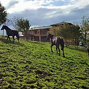 Hotel Rural Yeguada Albeitar 001