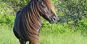 La Quintana de Foncalada 003